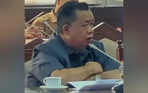 Wisman Dorong Pemda Gali Peluang Pengembangan Industri Ditingkat Desa