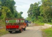 Pemerintah Barito Selatan Anggarkan Rp10 Miliar untuk Lanjutan Jalan Mayor Pithel