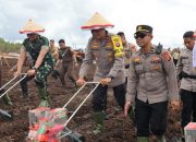 Polda Kalimantan Tengah Tanam Jagung di Tiga Kecamatan untuk Wujudkan Swasembada Pangan Nasional