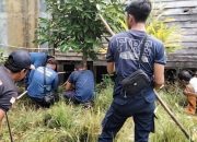 Ular King Cobra Masuk Dapur Warga, Damkar Palangka Raya Sigap Bertindak