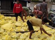 Dinas Sosial Barsel Genjot Penyaluran 29.945 Paket Bantuan Banjir ke Kecamatan Terdampak
