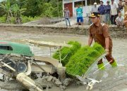 Penanaman Padi Inbrida Awali Transformasi Pertanian Barsel