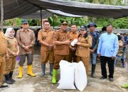 Wabup Barsel Serahkan Alsintan dan Benih Padi Inbrida Unggul