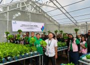 PLN Luncurkan Greenhouse Pintar untuk Ketahanan Pangan