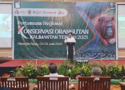Data Terbaru Disiapkan untuk Selamatkan Orangutan
