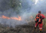 Tingkatkan Kesiapsiagaan, Manggala Agni Aktif Cegah Titik Api