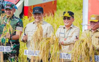 Pemprov Kalteng Genjot Infrastruktur Pertanian, Gubernur Prioritaskan Jalan di Bataguh