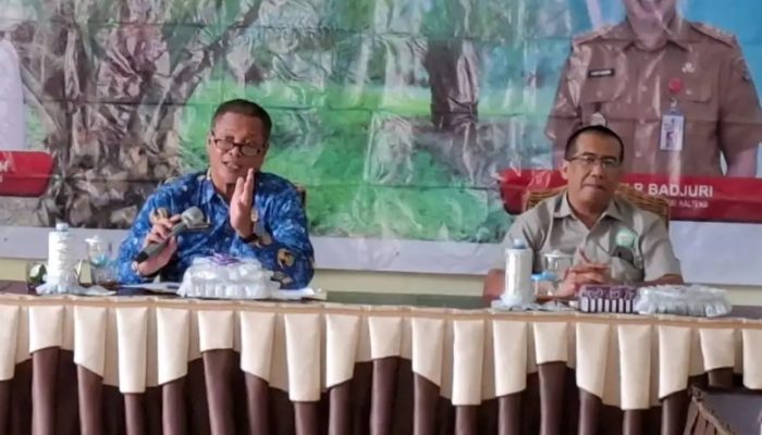 Kabar Baik untuk Petani Sawit Kalteng, Harga TBS Naik di Semua Umur Tanaman