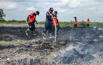 Karhutla Ancam Palangka Raya, Pembakaran Lahan Harus Dihentikan