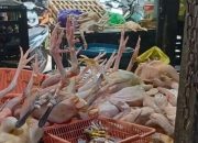 Harga Bahan Pokok Stabil, Inflasi Palangka Raya Terkendali