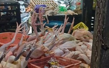 Harga Bahan Pokok Stabil, Inflasi Palangka Raya Terkendali
