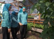 Rumah Bibit Jadi Sentra Edukasi Ketahanan Pangan Keluarga