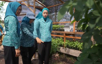 Rumah Bibit Jadi Sentra Edukasi Ketahanan Pangan Keluarga
