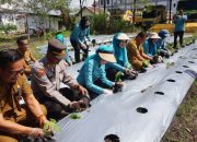 TP PKK Palangka Raya Gencarkan Gerakan Pekarangan Pangan