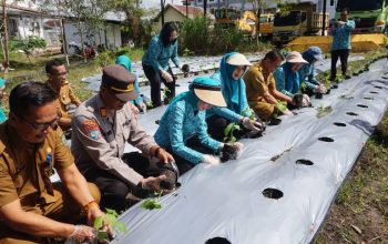 TP PKK Palangka Raya Gencarkan Gerakan Pekarangan Pangan