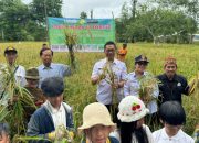 Palangka Raya Mantapkan Pertanian Mandiri dengan Panen Raya