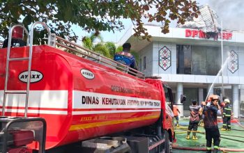 Kantor DPMPTSP Kalteng Terbakar, Layanan Publik Tetap Berjalan