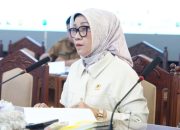 DPRD Kalteng Dorong Sinergi Pusat dan Daerah dalam Penanganan Isu Pertambangan