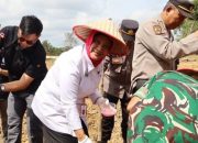 Tanam Jagung Serentak di Barito Utara Jadi Simbol Kebersamaan Bangun Ketahanan Pangan