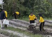 Polres Katingan Galakkan Pertanian Jagung untuk Wujudkan Kemandirian Pangan