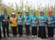 Avina Fairid Ajak Warga Kembangkan Pangan Lokal Bernilai Ekonomi