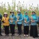 Avina Fairid Ajak Warga Kembangkan Pangan Lokal Bernilai Ekonomi