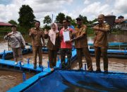 Bantuan Karamba Apung Pemerintah Dorong Produktivitas Nelayan di Bantaran Sungai Kahayan