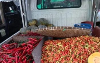 Harga Cabai Merah Naik, Inflasi Palangka Raya Masih Terkendali
