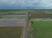 Luas Panen Padi Kalimantan Tengah Turun 12,68 Persen Tahun Ini