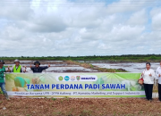 Kolaborasi UPR Dorong Pengelolaan Lahan Pertanian Berkelanjutan di Kalteng