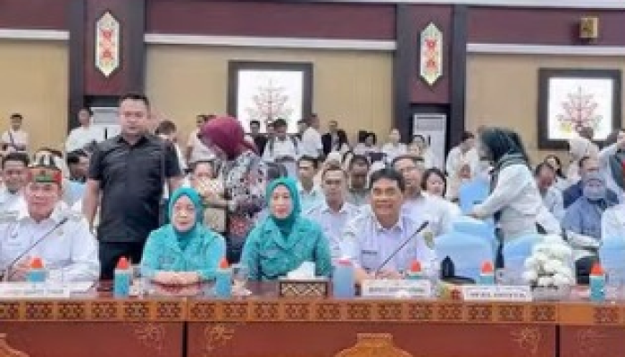 Barito Utara Raih Tiga Penghargaan Kinerja Program Penurunan Stunting