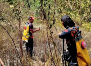 Respon Cepat BPBD Cegah Karhutla Meluas ke Permukiman Warga