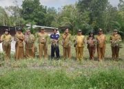 Produktivitas Petani Meningkat, Panen Bawang Merah di Tangkiling Tembus 3 Ton