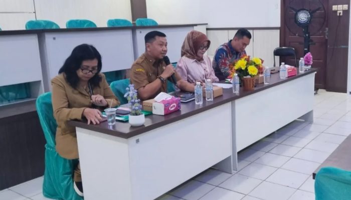 DPRD Kalteng Dorong Kapuas Maksimalkan Potensi Lokal dan Perkuat Ekonomi Kreatif
