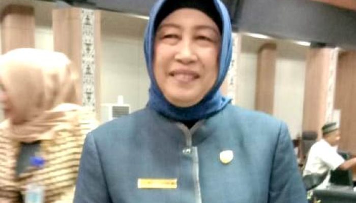 Hj. Mery Rukaini Sambut Baik Pemantauan Kota Secara Langsung