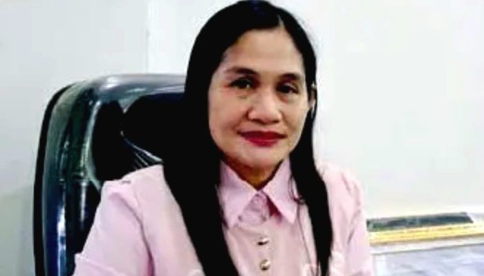Pengurus Baru PPNI Diharapkan Perkuat Mutu Layanan Kesehatan di Barito Utara