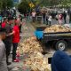 Aksi Lempar Ayam Busuk Warnai Demo Peternak di PLN, Pinsar Kalteng Tuntut Solusi Pemadaman Listrik