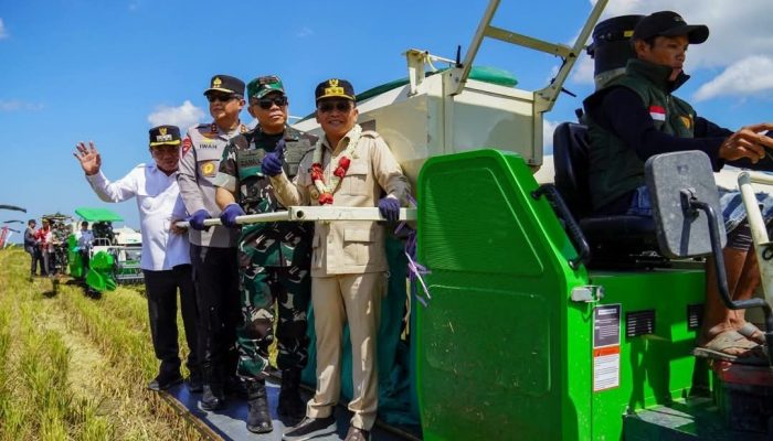Gubernur Agustiar Pacu Produktivitas Pertanian, Kapuas Diperkuat Jadi Sentra Pangan Strategis