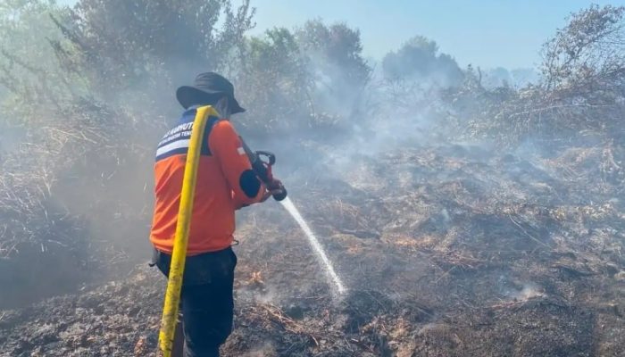 Kalteng Siaga Karhutla, Satgas Kerahkan Helikopter Blackhawk hingga 35 Regu Pemadaman