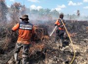 Puncak Kemarau, BPB-PK Kalteng Intensifkan Patroli Udara dan Darat Cegah Karhutla