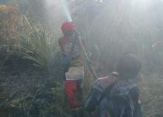 Penanganan Karhutla Katingan Terus Dilakukan Cegah Perluasan Api