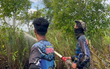 Dishut Kalteng Perketat Pencegahan Karhutla di Sejumlah Wilayah