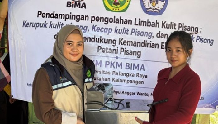Petani Kalampangan Kembangkan Produk Olahan Berbasis Pisang