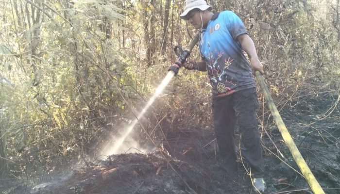 Respons Cepat Brigdalkar Barito Selatan Padamkan Karhutla di Desa Madara