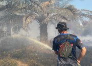 Respons Cepat Dalkarhutla Kendalikan Kebakaran Lahan di Katingan
