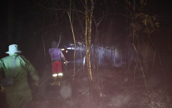 Tim Gabungan Padamkan Karhutla Lahan Gambut di Kecamatan Timpah