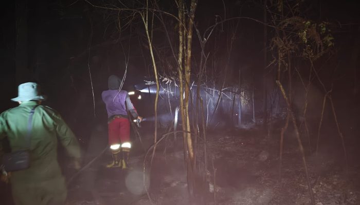 Tim Gabungan Padamkan Karhutla Lahan Gambut di Kecamatan Timpah