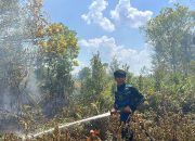 Karhutla Seluas 0,91 Hektare Ditangani Tim Gabungan