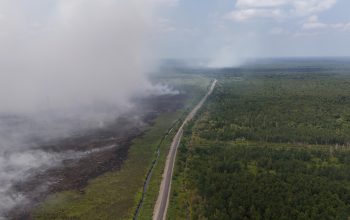 Karhutla di Tahura Sabaru Melanda Lahan 0,91 Hektare