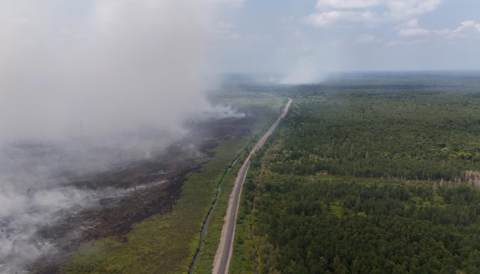 Karhutla di Tahura Sabaru Melanda Lahan 0,91 Hektare